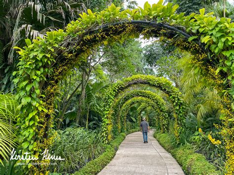 Singapore: A City of Gardens - Writing & Photography by Kirsten Hines