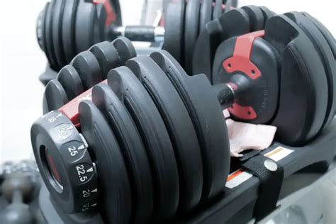 The Best Adjustable Dumbbells - Healing Daily