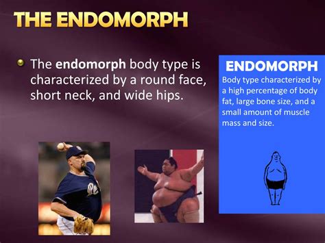 physiological systems powerpoint    id