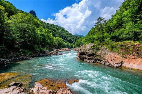 Paesaggio Di Estate Con Il Fiume Della Montagna Fotografia Stock