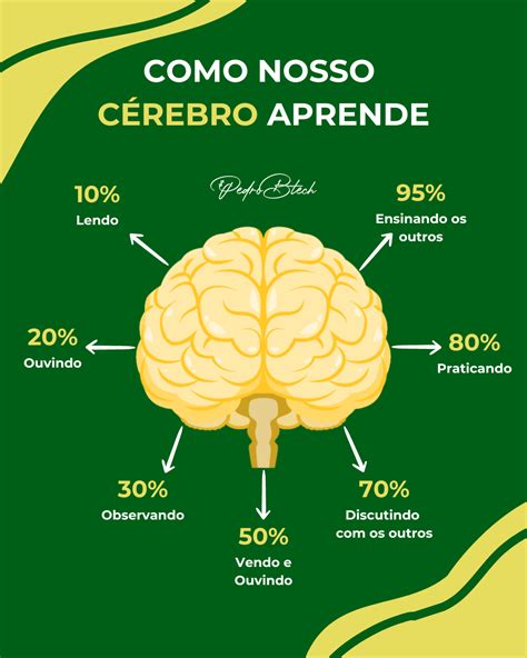 Entendendo Como O Cérebro Aprende Técnicas Para Aprender Mais Rápido E