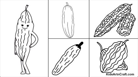 Bitter Gourd Coloring Pages For Kids Free Printables Kids Art And Craft