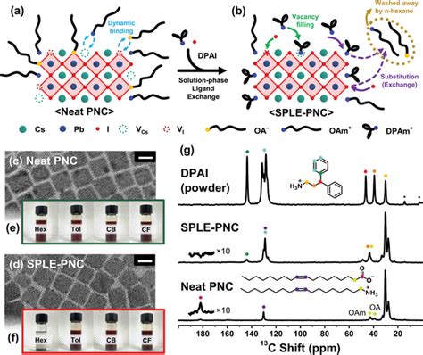 A B Schematic Illustrations On The Surface Chemistry Of PNCs Before