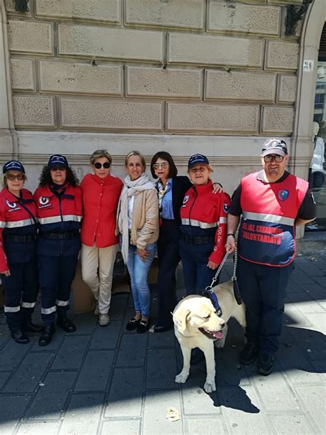 Catanzaro A N C Arruzzo E Airc Insieme In Piazza Per Distribuire Le