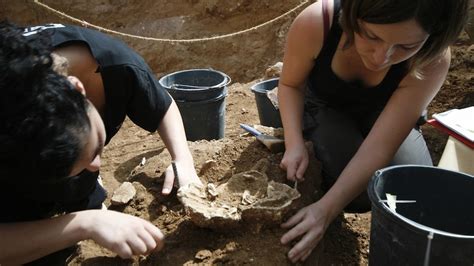 Fossil bones belonging to mysterious ancient human found in Israel - ABC News