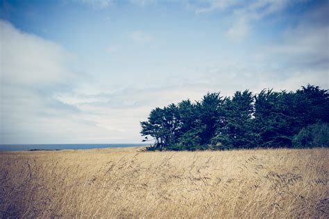 Wallpaper Sunlight Trees Landscape Sunset Sea Hill Nature Sand