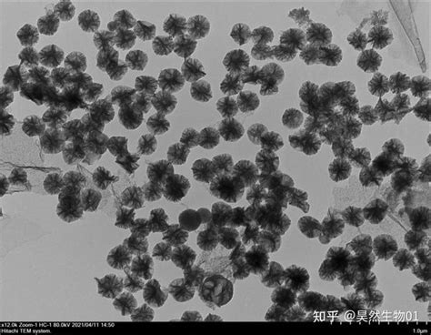 大孔介孔硅 Sio2纳米颗粒 粒径200nm，tem图谱 知乎