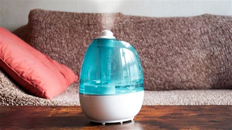 How To Clean Humidifier, Warm Mist Humidifier, Room Humidifier, Best ...