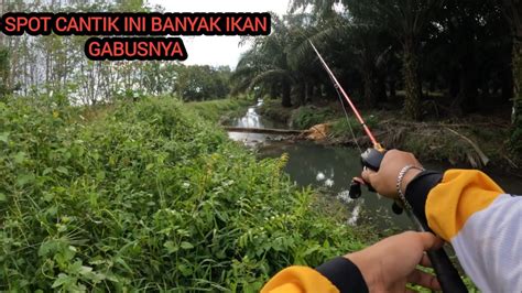 SPOT AIR JERNIH KESUKAAN IKAN GABUS CASTING IKAN GABUS KALIMANTAN