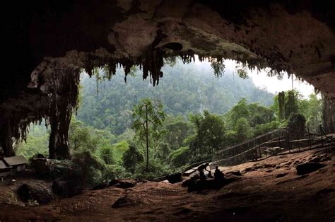 Niah National Park Miri Malaysia Gokayu Your Travel Guide