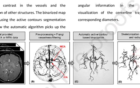 Vessel Segmentation And Skeletonization A Raw Stack Of 2D MRA CTA