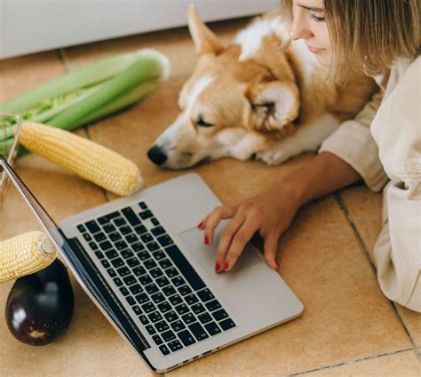 Can Dogs Eat Corn? | Bored Panda