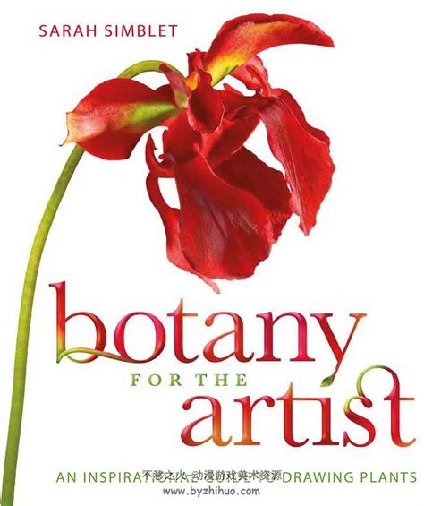 Botany For The Artist Sarah Simblet