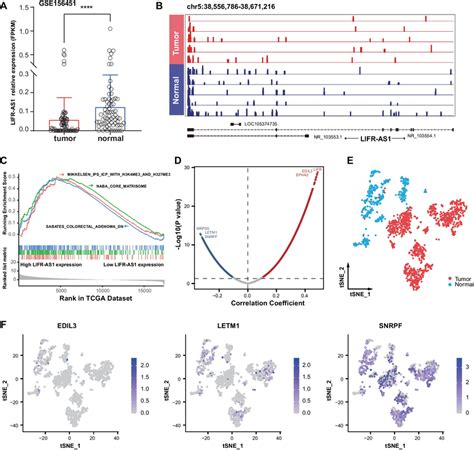 Functional Annotation For The Differentially Expressed LncRNA LIFR AS1