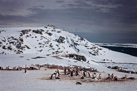 Antarctica: Lemaire Channel, Booth Island & Full Moon | Traveling Solemates