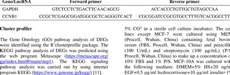 Summary of the oligonucleotide primer sequences. | Download Scientific ...