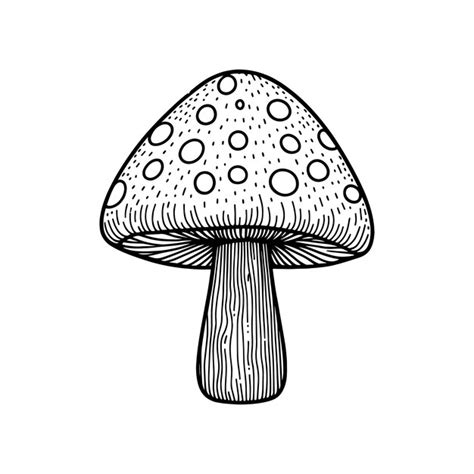 Mushroom Line Art Vector Illustration Premium Ai Generated Vector