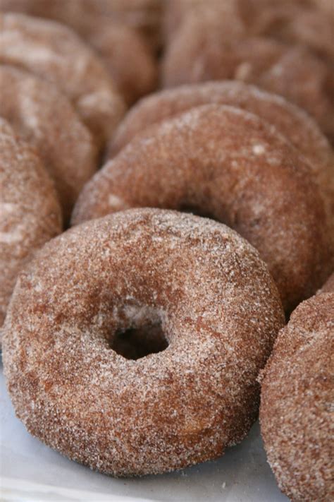 Homemade Apple Cider Donuts Recipe A Farmgirls Kitchen