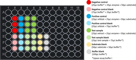 Suggested Plate Layout For Lipase Inhibition Assay Download Scientific Diagram