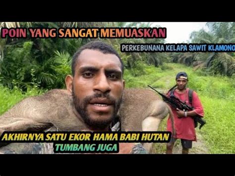 Berburu Dapat Poin Hama Babi Hutan Yang Memuaskan YouTube