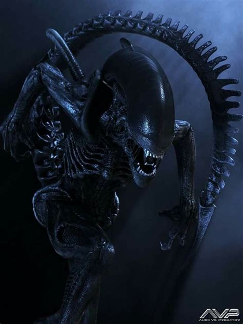 Aliens | Predator alien, Predator alien art, Alien artwork