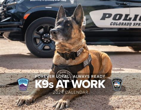 2024 K9 Calendar Police Foundation Of Colorado Springs