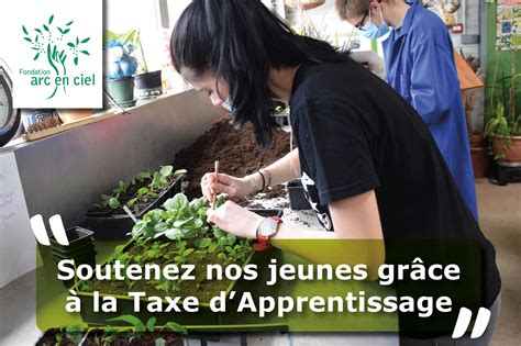 Taxe D Apprentissage Fondation Arc En Ciel