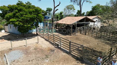 Fazenda Sítio na Travessa João Lima 20 Zona Rural em Itaguara por R