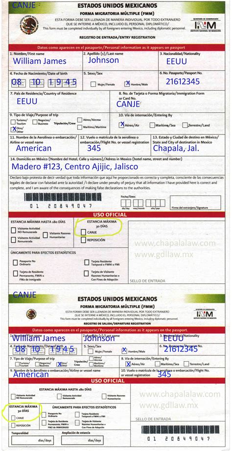 Mexico Fmm Form Printable