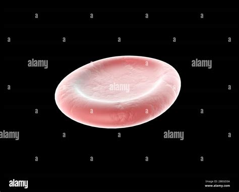 Cell in isotonic solution hi-res stock photography and images - Alamy