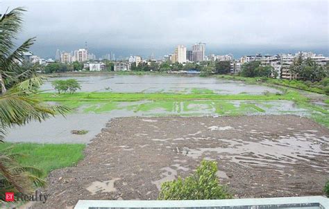 Centre Notifies New Wetland Conservation Rules Real Estate News Et