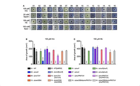 The Chu Operon Encodes A Heme Uptake System Churtuv And A