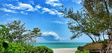 Pongwe Beach Hotel, Zanzibar, Tanzania | The Hotel Guru