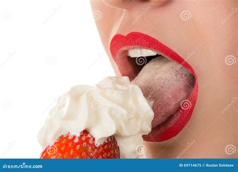 Fraisier Fraise Photo Image Hot Sex Picture