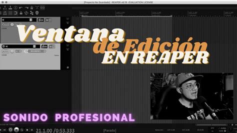 Tutorial Reaper En Espa Ol Entorno De Trabajo Ventana De Edici N A