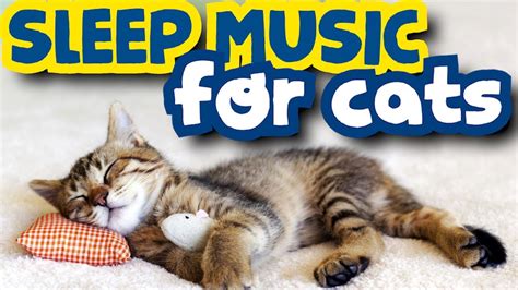 CALMING MUSIC FOR SLEEP CATS ♥♥ - YouTube