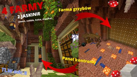 Nowe Jaskinie Farmy Replaymod Timelapseworld