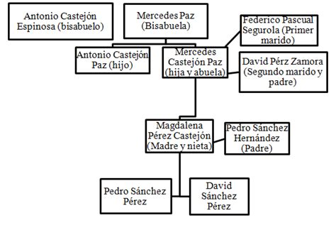 Árbol Genealógico De Pedro Sánchez Presidente De España En Funciones Por Julio Merino Ñtv España