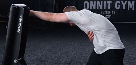 3 SI Joint Stretches & Exercises To Relieve Pain - Onnit Academy