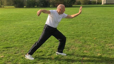 Yang Tai Chi 108 Form 楊氏太極拳 Tai Chi Apeldoorn He Yong Gan YouTube