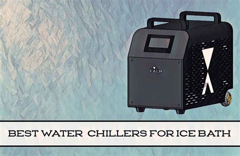 7 Best Water Chillers For An Ice Bath Icy Barrel Your Ice Bath Resource