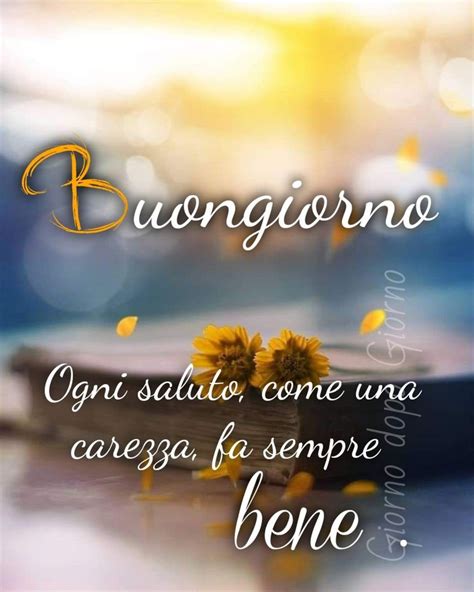 Buongiorno Ogni Saluto Come Una Carezza Fa Sempre Bene Buongiorno