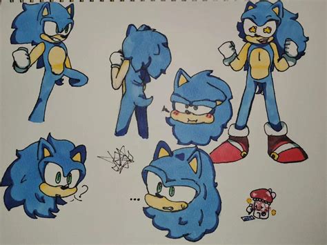 Learning Sonic anatomy | Sonic the Hedgehog! Amino