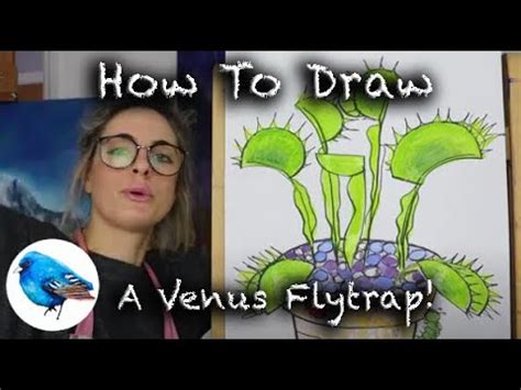 Learn How To Draw A VENUS FLYTRAP PLANT STEP BY STEP GUIDE Age 5