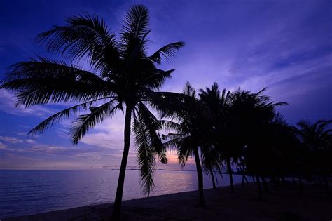 Atardecer Playa Palmeras Foto Gratis En Pixabay Pixabay