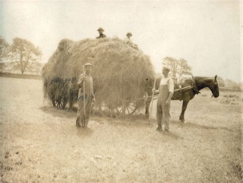 Haying season on the Hall estate farm | Country life, Haying, Seasons