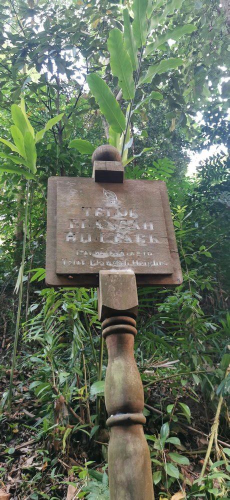 TELOK BLANGAH HILL PARK Updated January 2025 45 Photos Singapore