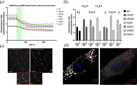 Figure 1 From Feasibility Of Photodynamic Therapy For Glioblastoma With