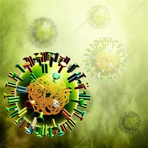 Influenza Virus Illustration Stock Image F016 1958 Science Photo