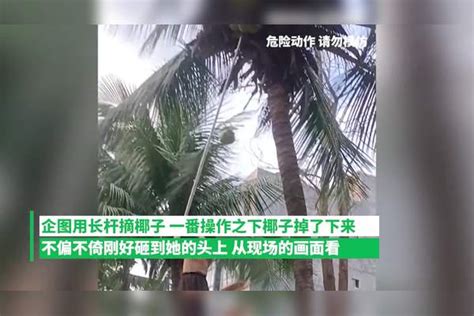 女子摘椰子被椰子砸倒，老公大笑引网友怒斥：还笑，是想换老婆吗。